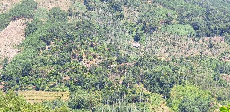 Quảng Ngãi: Đẩy mạnh thu hút đầu tư phát triển KT-XH, giảm nghèo bền vững vùng đồng bào DTTS