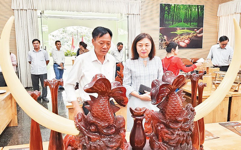 Tránh rủi ro khi xuất khẩu hàng hóa