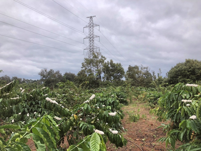 An Land Coffee - Cách tận hưởng hương vị cà phê nguyên chất tiện lợi, dễ dàng