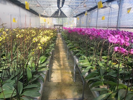 Trung tâm Thông tin, Kỹ thuật và Ứng dụng Khoa học công nghệ: Chủ động, sáng tạo, hoàn thành nhiệm vụ được giao