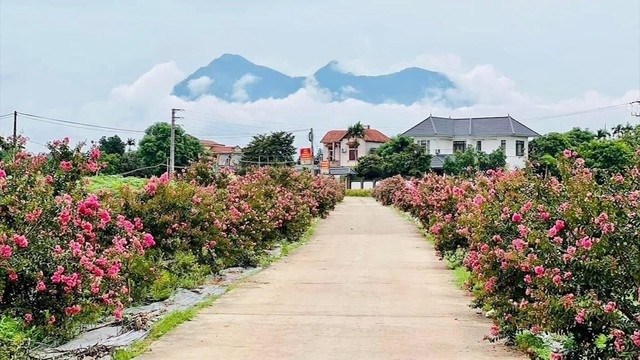 Hà Nội: Huyện Ba Vì đạt chuẩn nông thôn mới