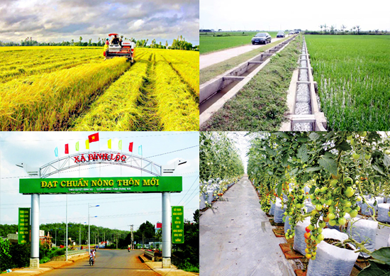 3 huyện, 1 thị xã hoàn thành nhiệm vụ xây dựng nông thôn mới