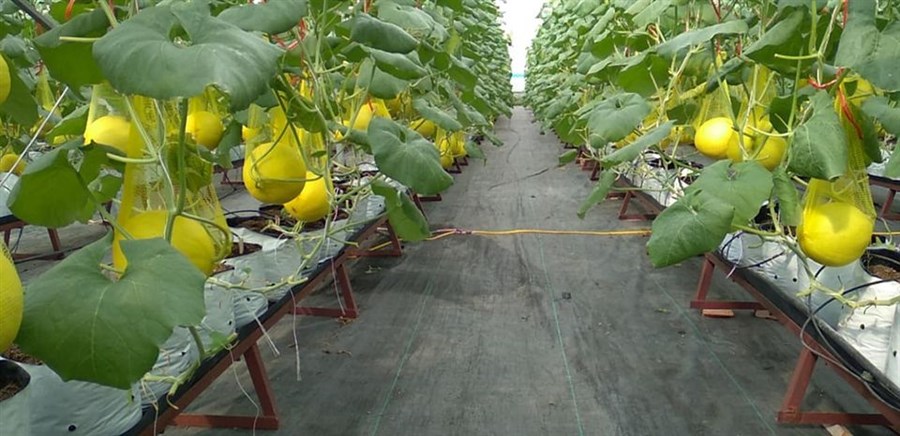 Giải thể dứt điểm các hợp tác xã không còn hoạt động trong giai đoạn 2021-2023