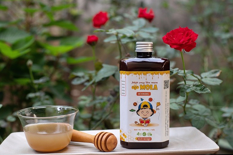 Mola – đồng hành cùng người dân trong đại dịch