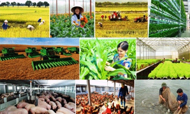Cắt giảm, đơn giản hóa nhiều thủ tục hành chính lĩnh vực nông nghiệp