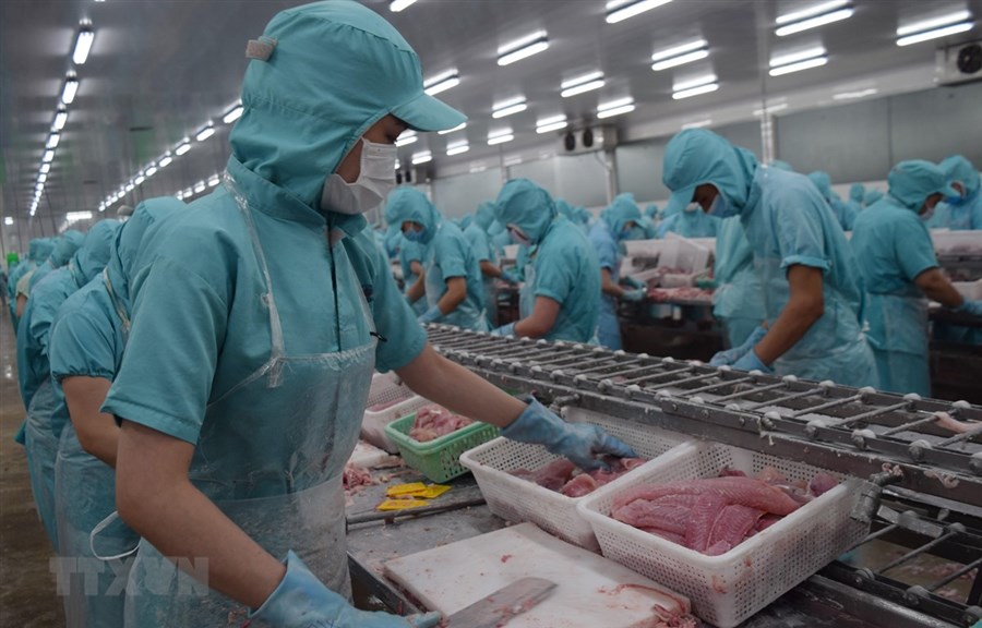 Xuất khẩu nông lâm thủy sản phấn đấu đạt 62 tỷ USD vào năm 2030