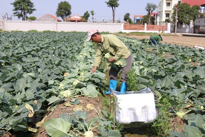 Bộ Công Thương nỗ lực tháo gỡ khó khăn trong việc tiêu thụ hàng hóa và nông sản cho bà con vùng đang có dịch