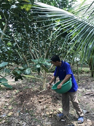 Trăm dâu đổ đầu phân bón!