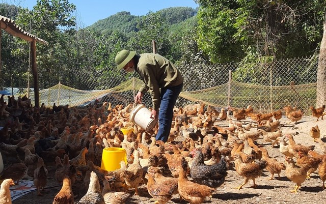 Thành phố Hạ Long hoàn thành nhiệm vụ xây dựng nông thôn mới