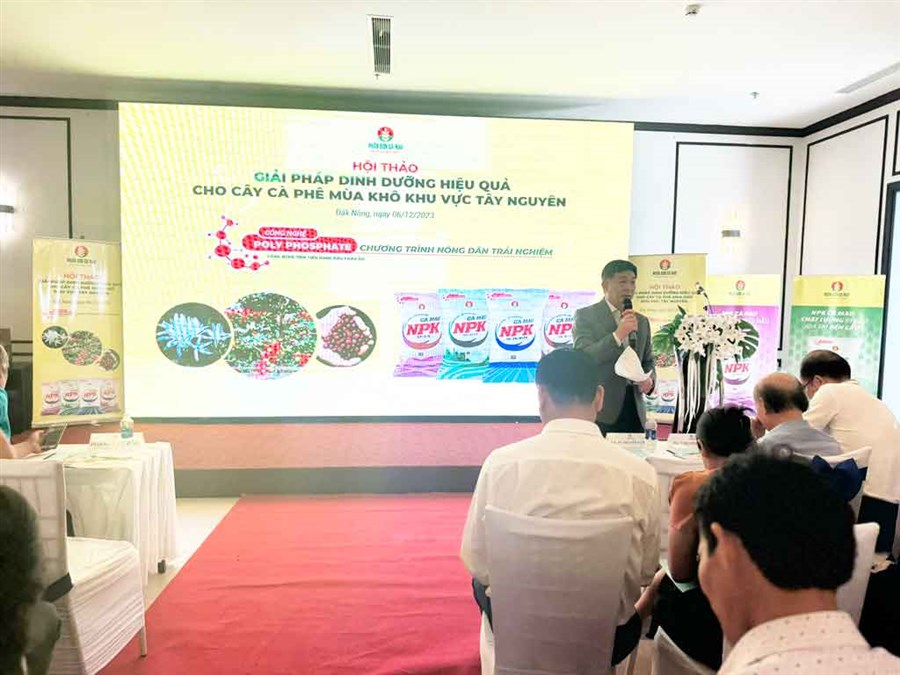 Giải pháp dinh dưỡng hiệu quả cho cây cà phê mùa khô khu vực Tây Nguyên - Trải nghiệm NPK Cà Mau - Công nghệ Polyphosphate