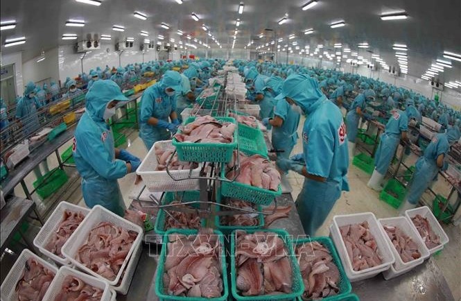 Xuất khẩu cá tra Việt Nam kỳ vọng năm 2024
