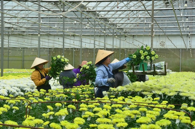 Ngành Nông nghiệp Lâm Đồng tích hợp 3 giải pháp phát triển nông nghiệp