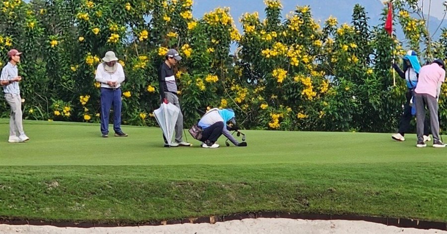 Phó Thủ tướng Trần Lưu Quang yêu cầu kiểm tra tin lãnh đạo Sở ở Bắc Ninh đi chơi golf giờ hành chính
