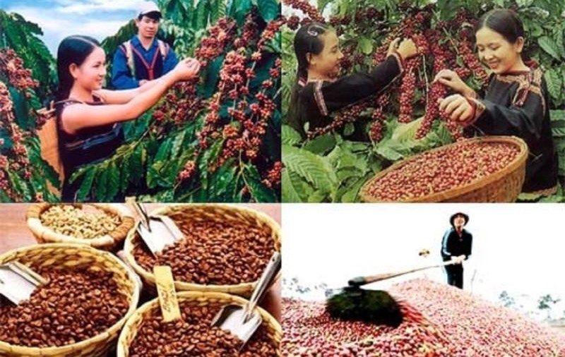 Xây dựng thương hiệu không đơn thuần là hình ảnh, quan trọng hơn là sự cảm nhận, thấu hiểu