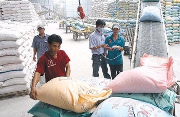 Giá gạo của Việt Nam xuất khẩu trong năm 2024 vẫn ở mức cao