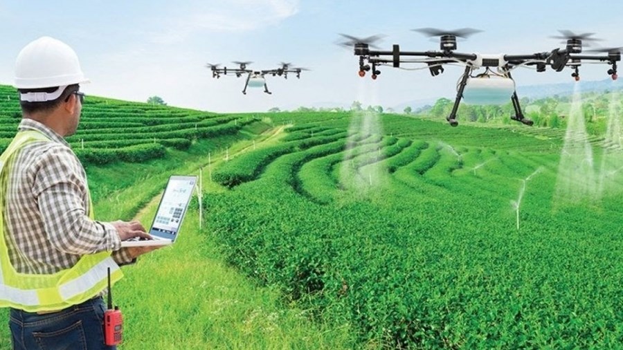 Nâng cao chất lượng nguồn nhân lực khoa học và công nghệ ngành nông nghiệp và phát triển nông thôn