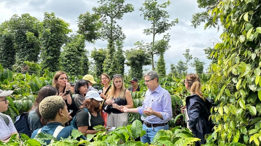 Nestlé Việt Nam nỗ lực quảng bá hình ảnh cà phê Việt ra thế giới