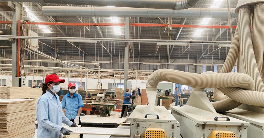 Mới chỉ  4,2% doanh nghiệp gỗ chuyển đổi số toàn bộ quy trình