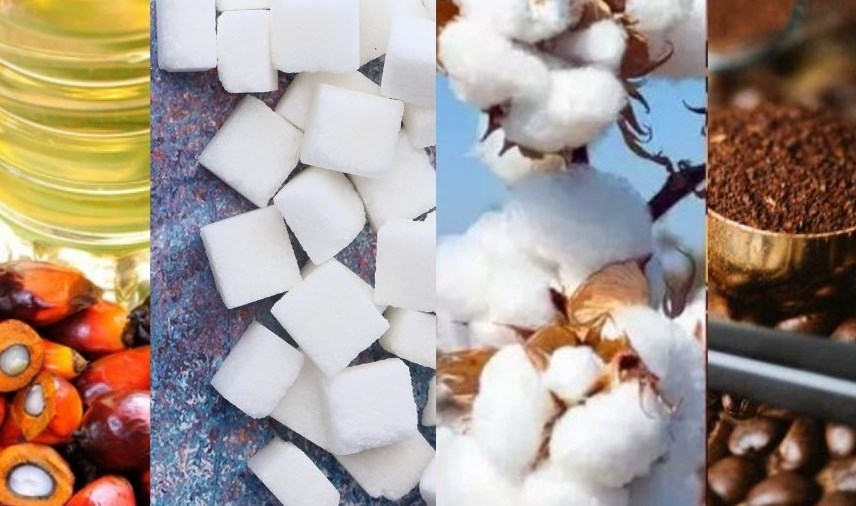 Thị trường hàng hóa hôm nay 12/12: Xăng dầu giằng co, giá đường thấp nhất gần 6 tháng, quặng sắt cao nhất 18 tháng