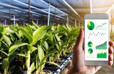 Hoàn thiện chính sách về vốn cho chuyển đổi nông nghiệp số, phát triển ngành nông nghiệp bền vững