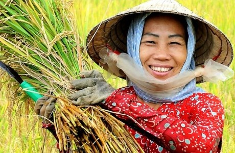 Phát huy vai trò chủ thể của nông dân trong tình hình mới