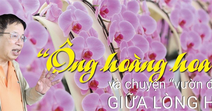 “Ông hoàng hoa lan” và chuyện “vườn địa đàng” giữa lòng Hà Nội