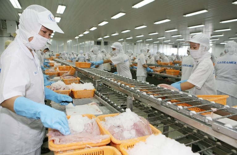 Doanh nghiệp Việt phải thích ứng như thế nào để xuất khẩu hàng hóa lĩnh vực tiềm năng sang EU?