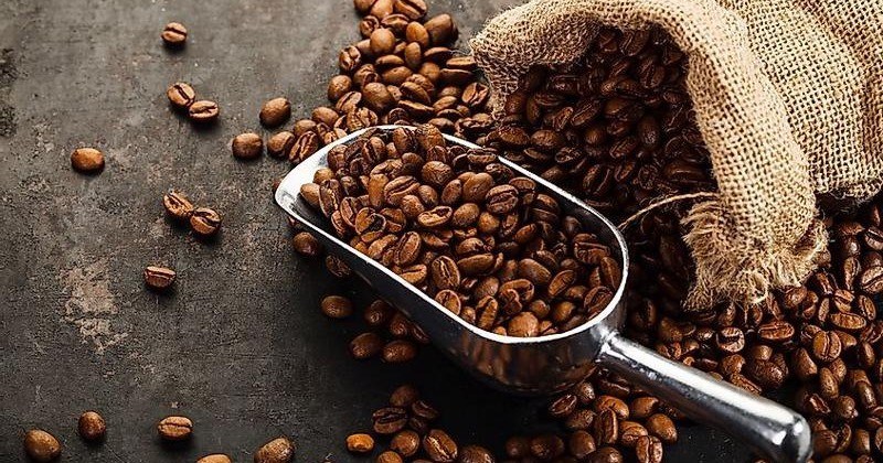 Kim ngạch xuất khẩu cà phê Việt Nam năm 2023 đạt kỷ lục hơn 4,24 tỷ USD