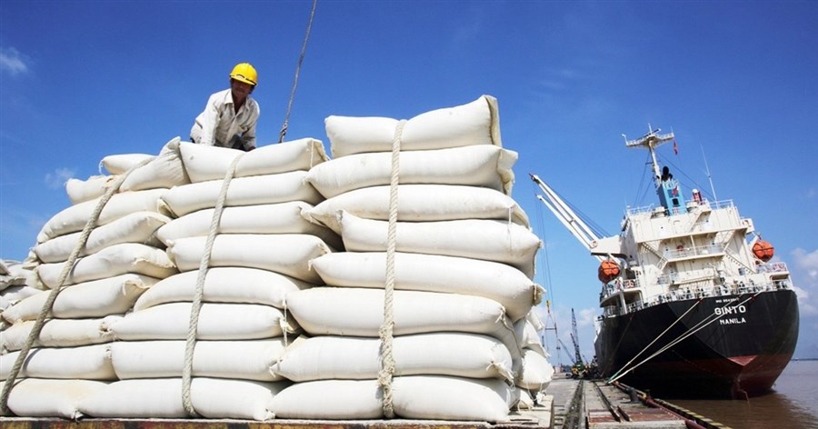 Nửa đầu tháng 1/2024, Việt Nam đã xuất khẩu hơn 194.000 tấn gạo