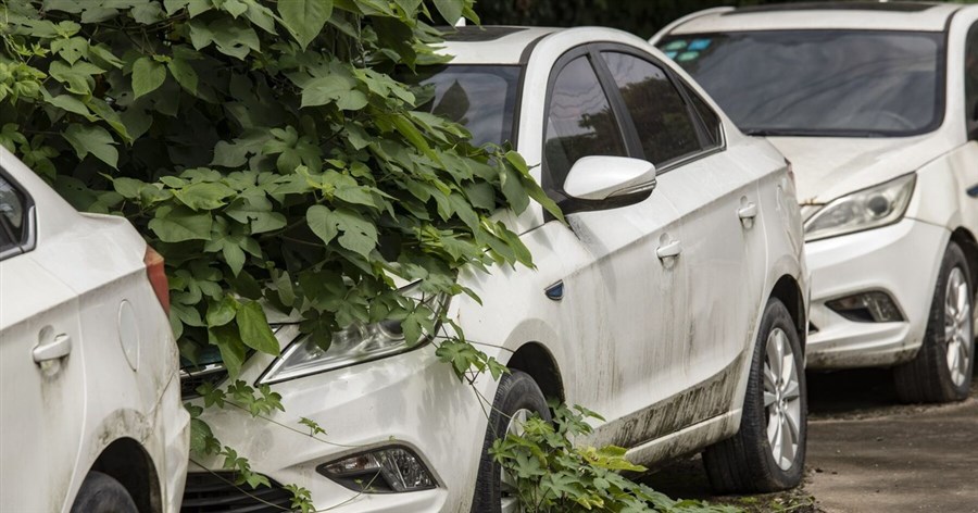 Rắc rối lớn của xe điện: Xe cũ mất giá quá nhanh, hàng triệu chiếc không biết đi đâu về đâu trong năm 2024