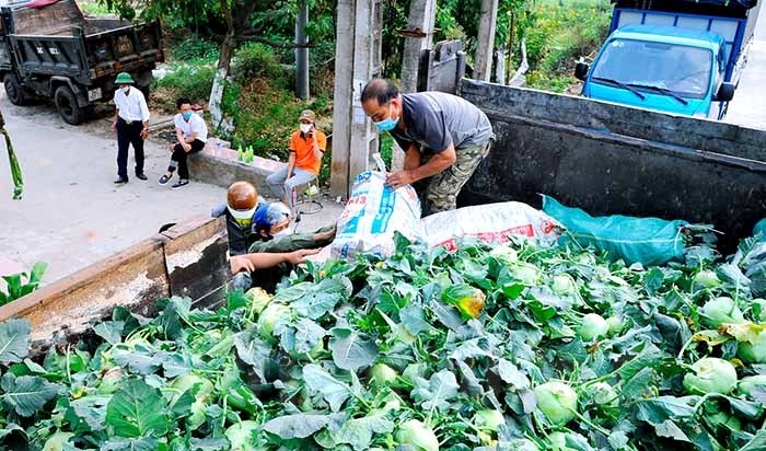 Phối hợp đẩy mạnh hoạt động kết nối, mở cửa thị trường để lưu thông hàng hóa trong tình hình dịch bệnh Covid 19