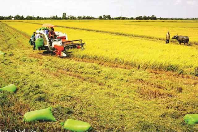 Vĩnh Long định hướng phát triển toàn diện, văn minh, hiện đại