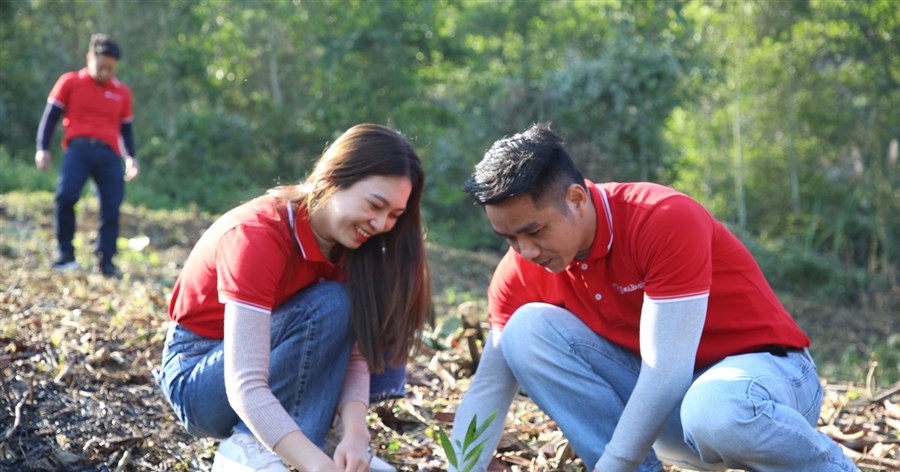 SeABank tiếp tục phủ xanh 3ha rừng phòng hộ tại Thanh Hóa, hướng tới phát triển bền vững