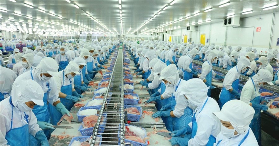 Kinh doanh không thuận lợi, lãi ròng 2023 của Vĩnh Hoàn giảm hơn một nửa so với cùng kỳ