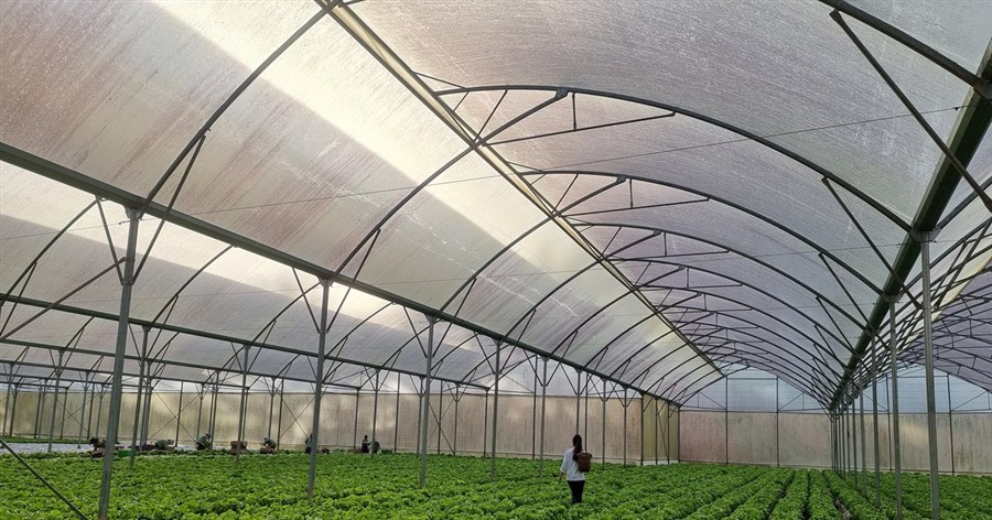 Gia tăng sức khỏe gia đình bằng 5 loại rau củ quả quen thuộc tại Việt Nam