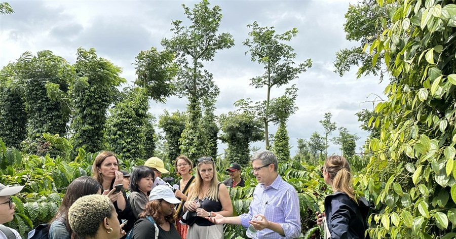 Nestlé nỗ lực quảng bá hình ảnh cà phê Việt ra thế giới