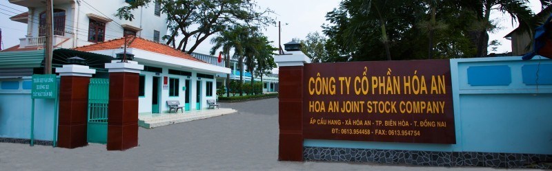 Quý 4/2024 biên lợi nhuận gộp Công ty Cổ phần Hoá An đạt 28% nhờ... đá