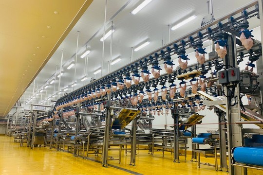 CPV Food Bình Phước hướng đến mục tiêu chinh phục thị trường khó tính