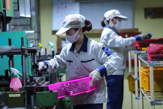 Số lượng người lao động thất nghiệp ở TP.HCM đã tăng 11%