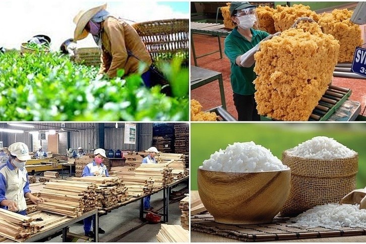 Xuất khẩu nông lâm thủy sản đạt 5,14 tỷ USD trong tháng đầu năm 2024, tận dụng các hiệp định để bứt phá