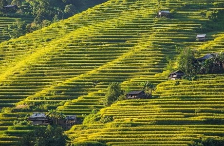 Ngỡ ngàng vẻ đẹp ruộng bậc thang Hoàng Su Phì mùa lúa chín