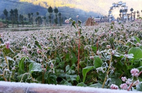 Băng tuyết phủ trắng Thung lũng Sủng Là - Hà Giang