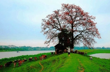 Chấm phá vùng miền qua ảnh - Tỉnh Bắc Giang