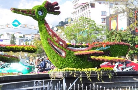 Phố phường Đà Lạt ngập sắc hoa