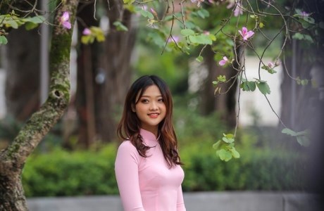 Hoa ban tím nở rực rỡ khắp phố phường Hà Nội