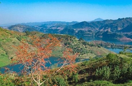 Đẹp mê mẩn mùa hoa gạo Quỳnh Nhai, Sơn La