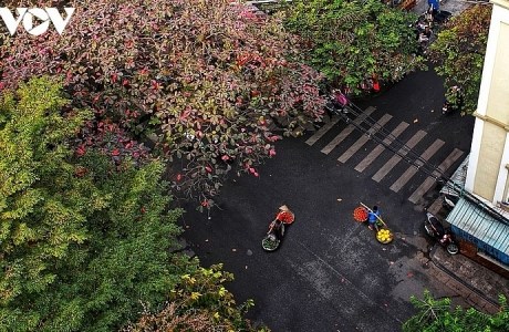 Vẻ đẹp những gánh hàng rong trên phố phường Hà Nội