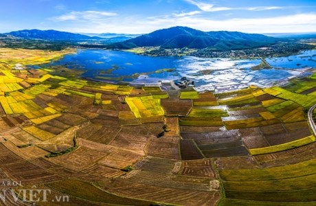Chiêm ngưỡng cánh đồng lúa đẹp nhất nhì Tây Nguyên từ trên cao