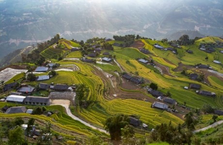 Ngắm mùa vàng óng, cảnh sắc như mơ nơi rẻo cao