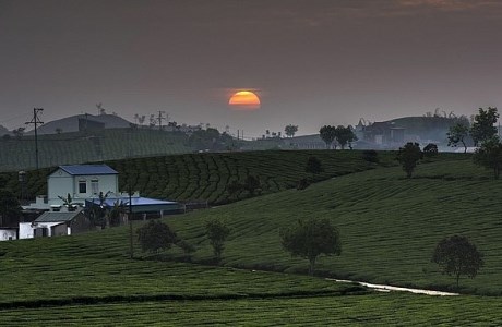 Lên Mộc Châu ngắm sắc hoa rực rỡ khi mùa Xuân về